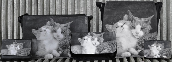 Lovecats, Katzentasche S