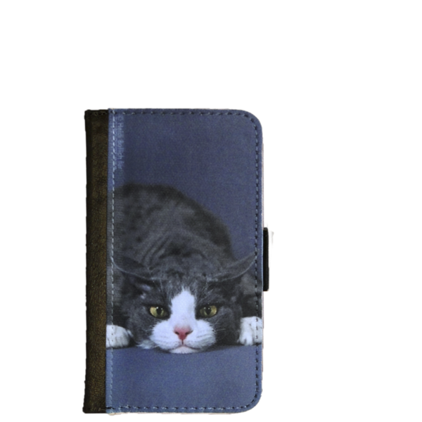 Katze Pablo, Klapp-Etui für Smartphone