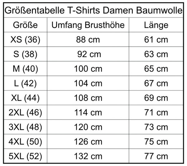 Bamberg Panorama 2 farbig, Damen T-Shirt